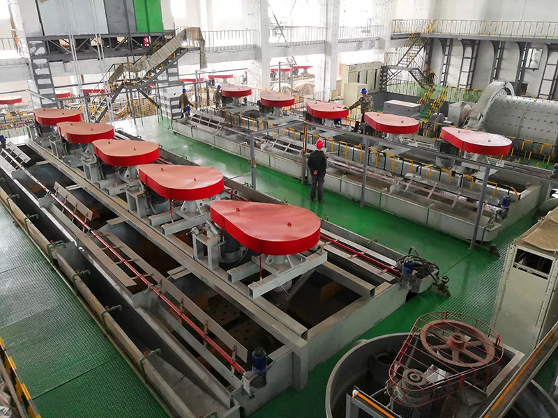 Selbstansaugende mechanische Flotationszellen für grobes Granulat